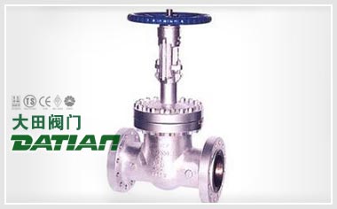 DZ41國(guó)標(biāo)低溫法蘭閘閥